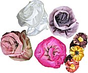 Playing With Wire Ribbon